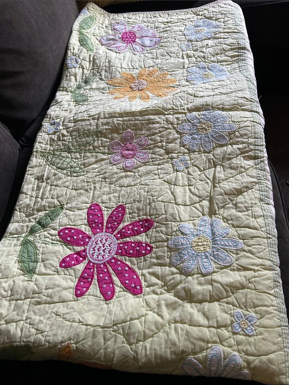 Pottery Barn Kids Daisy Flower Garden Pastel  Floral Embroidery  Appliqué Quilt